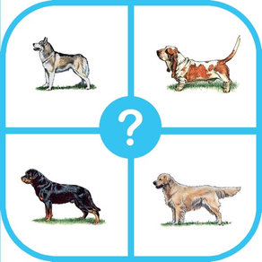 개가 퀴즈 : 추측 개는 퀴즈 강아지 게임