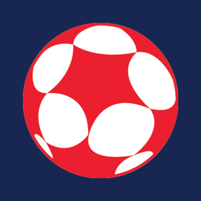 Soccer Sphere