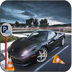 Elite Valet Car Parking: The Extreme Driving Test