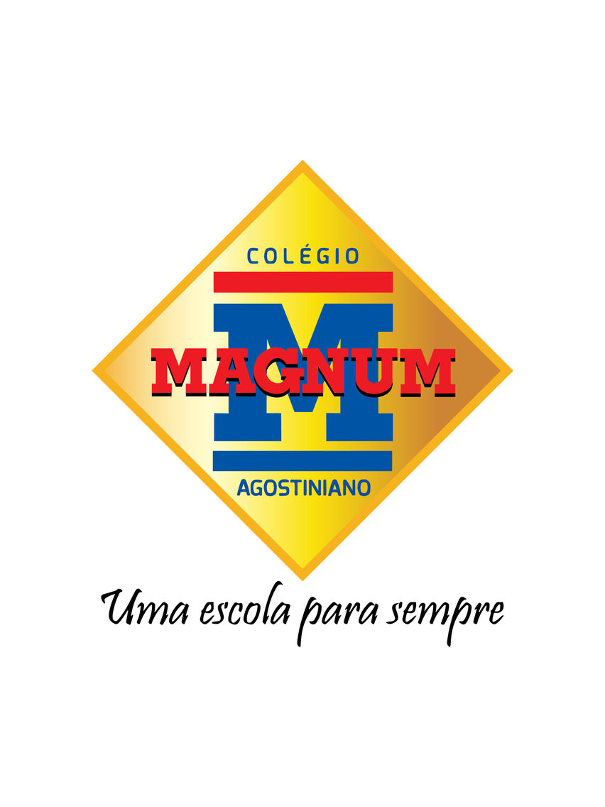 Conecta Magnum poster