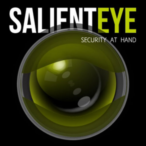 Salient Eye - Security Camera
