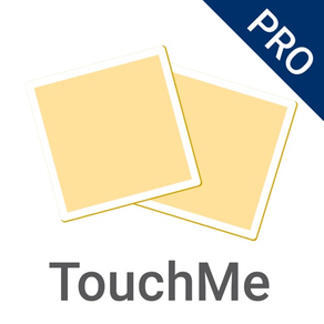 TouchMe Pairs PRO