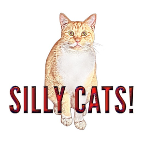 Silly Cats Stickers