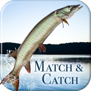 i Fishing Match and Catch