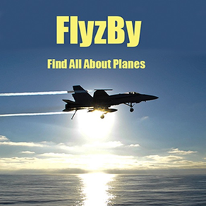 FlyzBy