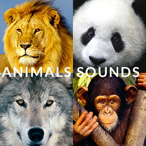 Sons de animais - Conversando com o seu animal, aplicativo divertido para adultos e crianças