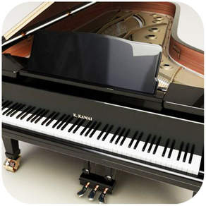 Accompanist Piano