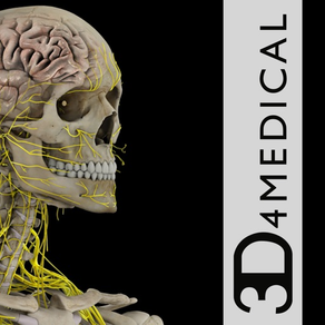 Brain & Nervous System Pro III