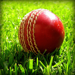 Live Cricket Matches