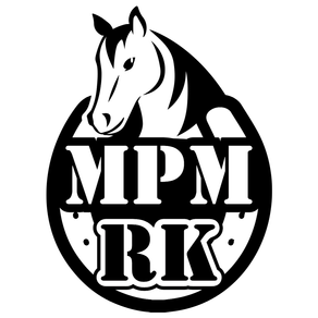 MyPocketMate Record Keeper