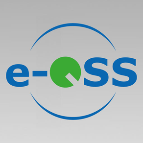 e-QSS ML