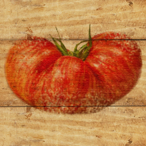 Tomato Match from Fine Gardening