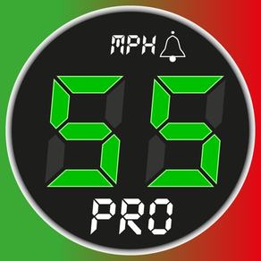 Speedometer 55 Pro. GPS kit.
