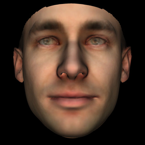 Face 3D