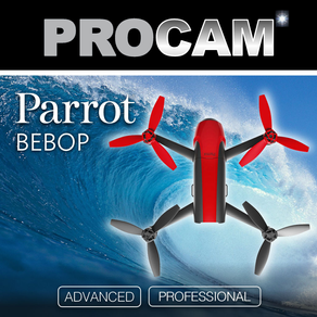 Parrot Bebob Series