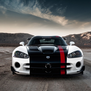 HD Car Wallpapers - Dodge Viper Edition