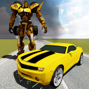 Robo Taxi Transformation Sim