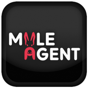 MULE Agent