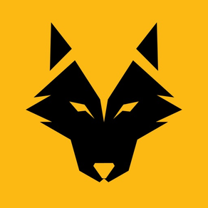 WeAreWolves - Live Scores