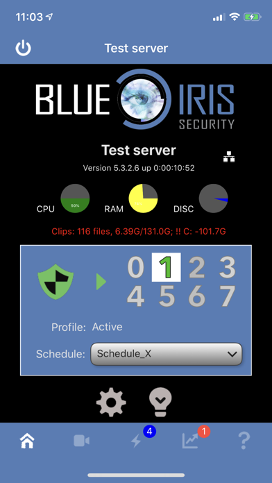 Blue Iris poster