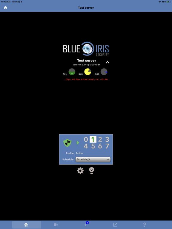 Blue Iris poster