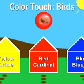 Color Touch: Birds