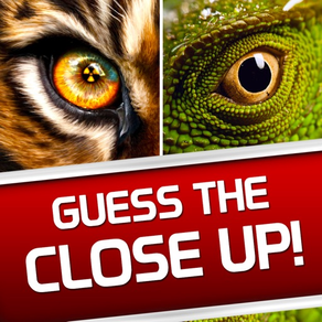 Guess the Close Up - Pics Quiz