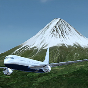 Flug über Tokio