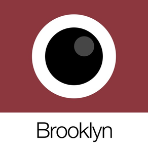 Analog Brooklyn (模擬布魯克林)