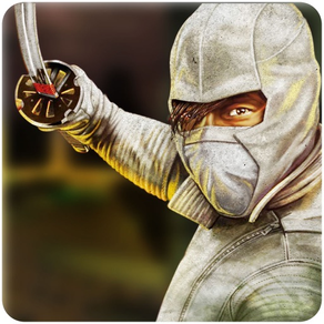 Super Hero-The Ninja Warrior