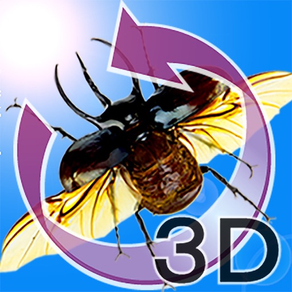 The 3D Insects I