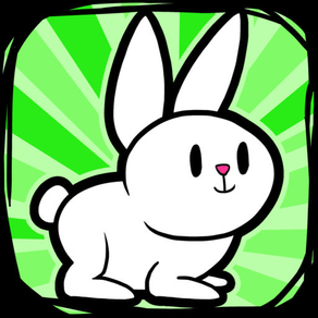 Bunny Rabbit Evolution