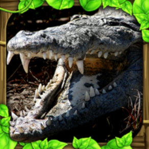 Wildlife Simulator: Crocodile