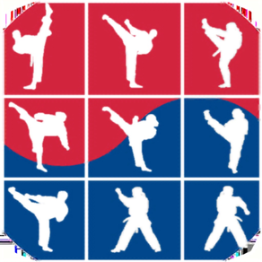 MSB TKD Scout System