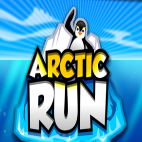 Arctic Run!