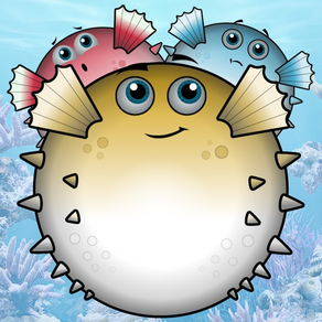 Blowfish Popper