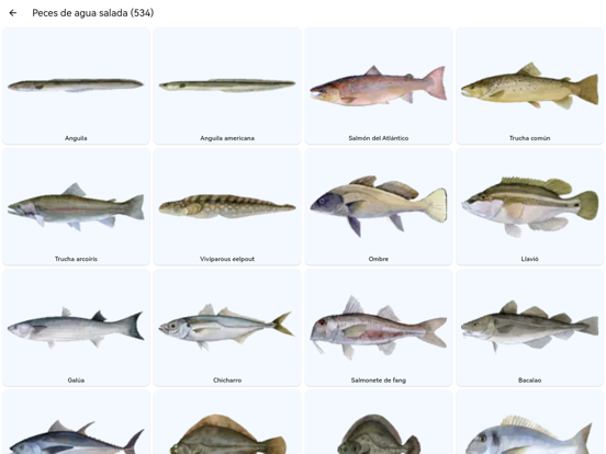 Planeta de los peces الملصق