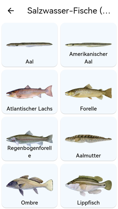 Fischplanet Plakat
