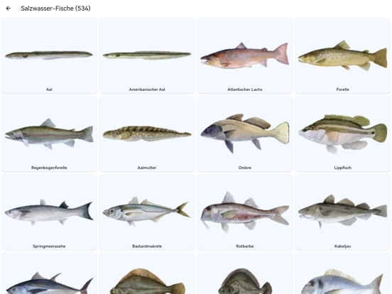 Fischplanet Plakat