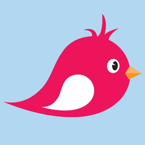 Mr Flappy : Help Bird Crush The Color Adventure