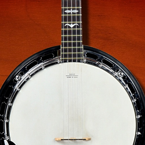 Companion Banjo