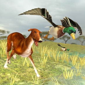 Bird Dog Chase Simulator