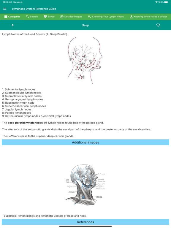 Lymphatic System Reference poster