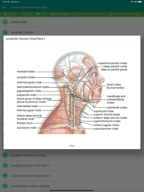 Lymphatic System Reference poster