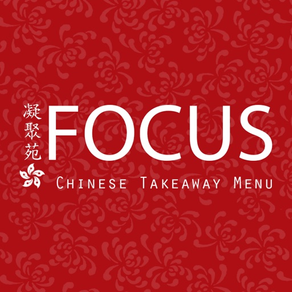 Focus Chinese