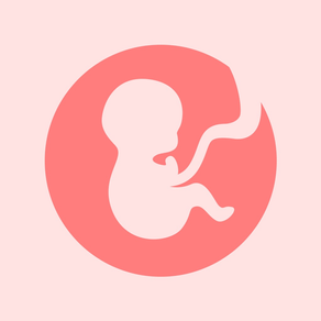 怀孕期伴侣-提供怀孕期间宝宝动态、母婴护理知识以及孕期食谱