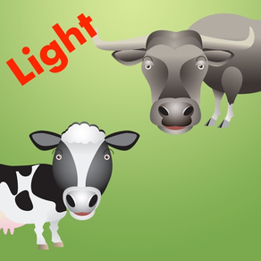 Cows&Bulls light.