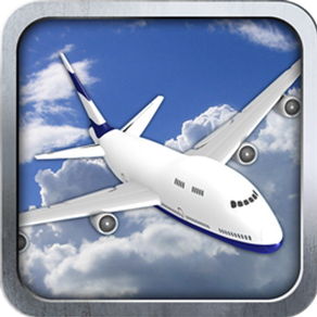 3D Airplane flight simulator