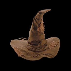 A Sorceror's Hat Decision Maker for Fun Sorting