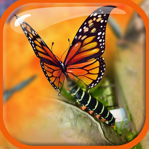 Blender Camera Effect –  Edit & Blend Photo.s with Overlap Effects in Superimpose Studio